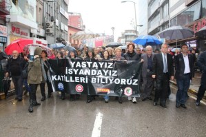 demokrasi platformu 2