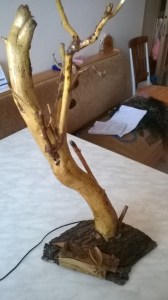 Created with Nokia Smart Cam